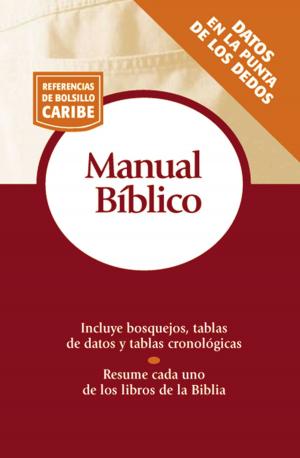 Cover of the book Manual bíblico by Sonia González Boysen
