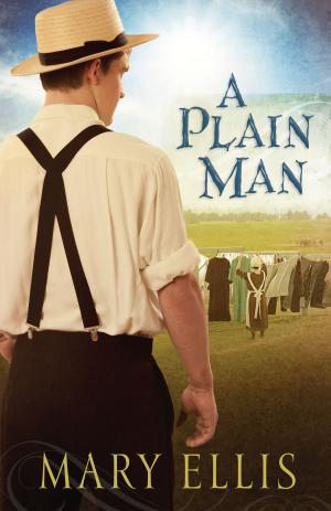 Cover of the book A Plain Man by Jeff Kinley