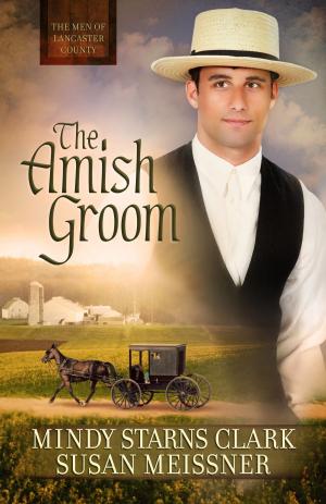 Cover of the book The Amish Groom by Hope Lyda