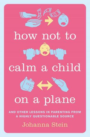 Cover of the book How Not to Calm a Child on a Plane by John M. Kennedy, M.D.