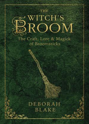 Cover of the book The Witch's Broom by Ellen Dugan