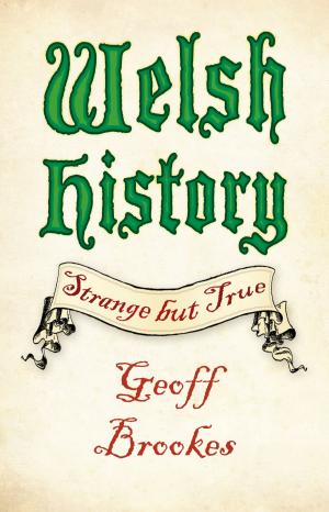 Cover of the book Welsh History by Catherine Rothwell