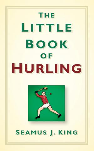 Cover of the book Little Book of Hurling by David Kinnaird