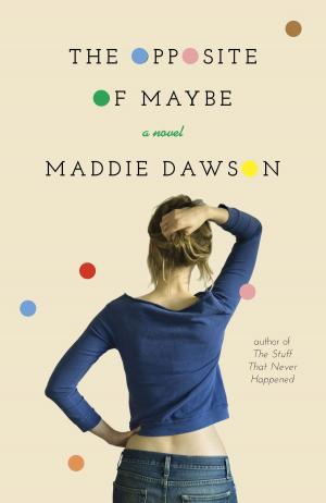 Cover of the book The Opposite of Maybe by Trudy Stiles