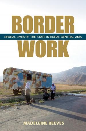Cover of the book Border Work by Ron E. Hassner