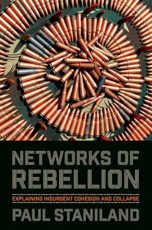 Cover of the book Networks of Rebellion by Andrew L. Erdman