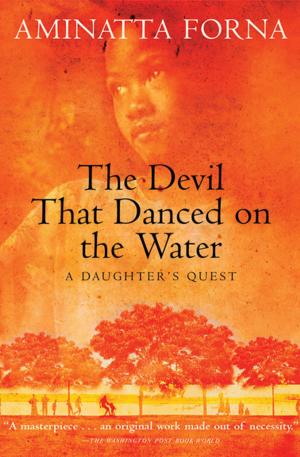 Book cover of The Devil That Danced on the Water
