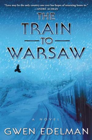 Cover of the book The Train to Warsaw by Bradford Morrow
