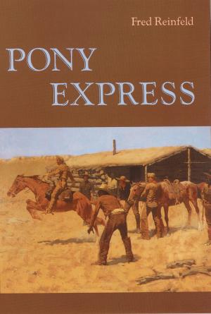 Cover of the book Pony Express by Euripides