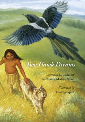 Cover of the book Two Hawk Dreams by Al Clark, Dan Schlossberg