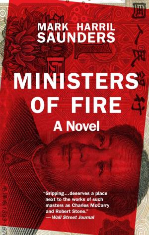 Book cover of Ministers of Fire