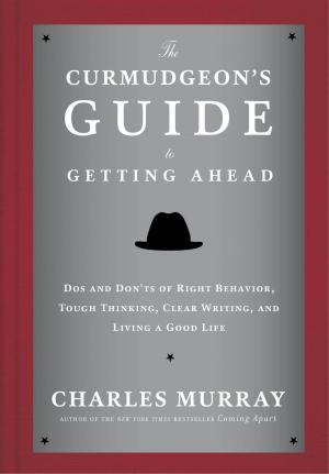 Cover of the book The Curmudgeon's Guide to Getting Ahead by Colleen Mook