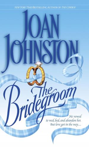 Cover of the book The Bridegroom by Iris Johansen
