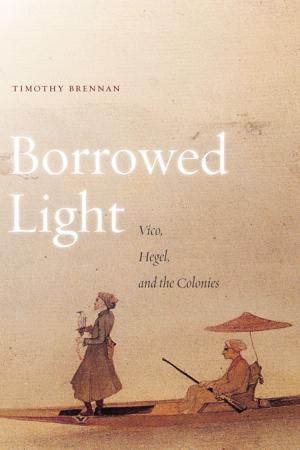 Book cover of Borrowed Light