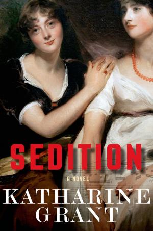 Cover of the book Sedition by Adrian McKinty