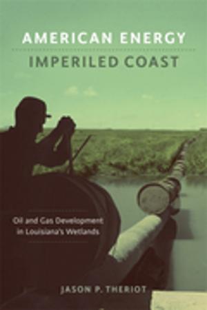 Cover of the book American Energy, Imperiled Coast by John Glenn