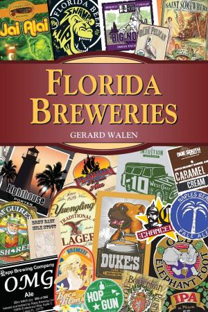 Cover of the book Florida Breweries by Jon Dr. Diamond