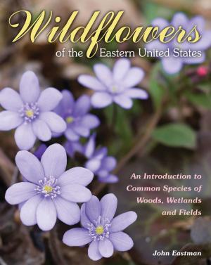 Cover of the book Wildflowers of the Eastern United States by Frederique Marfaing