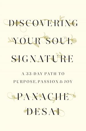 Cover of the book Discovering Your Soul Signature by Christopher Buckley