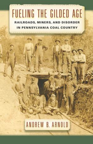 Book cover of Fueling the Gilded Age