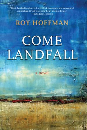 Cover of the book Come Landfall by Diane Williams