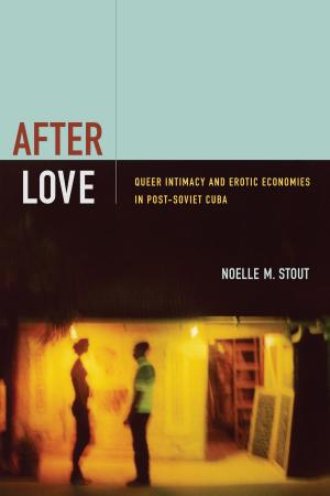 Cover of the book After Love by Julia Adams, George Steinmetz, Fred C. Corney, Simonetta  Falasca Zamponi