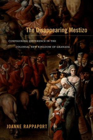 Cover of the book The Disappearing Mestizo by Vernadette Vicuna Gonzalez