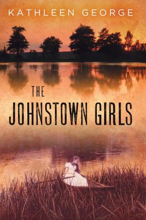 Book cover of The Johnstown Girls