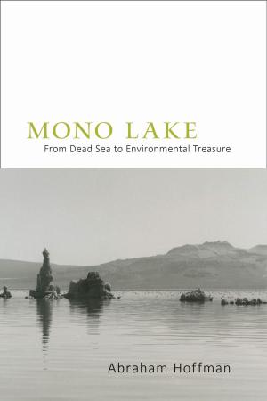 Cover of the book Mono Lake by Malcolm Ebright, Rick Hendricks, Richard W. Hughes