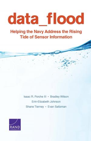 Cover of the book Data Flood by Lillian Ablon, Paul Heaton, Diana Catherine Lavery, Sasha Romanosky