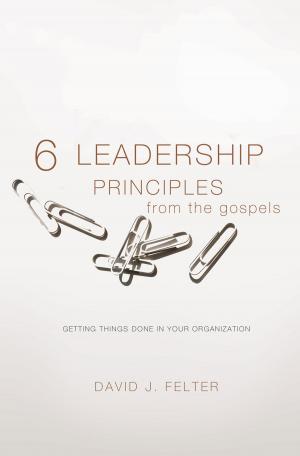 Cover of the book 6 Leadership Principles from Gospels by Jim Edlin