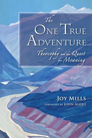 Cover of the book The One True Adventure by Gary Tillery