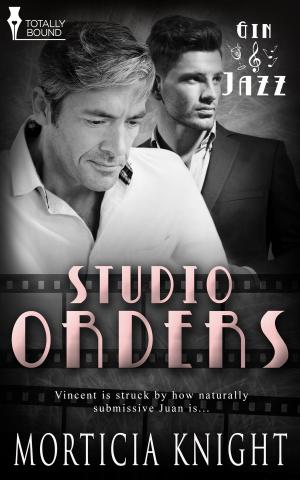 Cover of the book Studio Orders by Kit Morgan