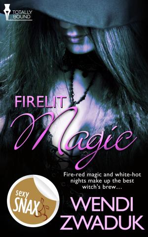 Cover of the book Firelit Magic by Trina Lane