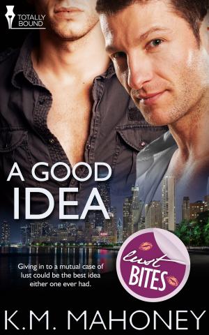 Cover of the book A Good Idea by Anne Wentworth