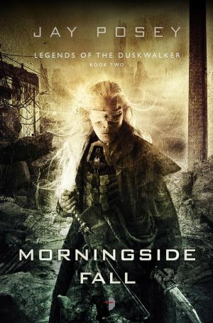 Cover of the book Morningside Fall by Jason Gyre
