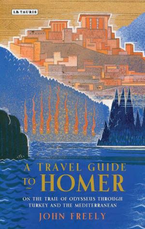 Cover of the book A Travel Guide to Homer by Victor Stapleton