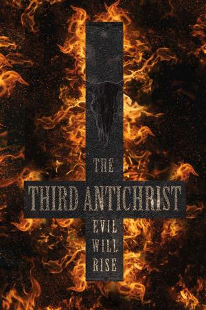Book cover of The Third Antichrist