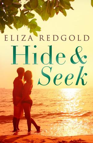 Cover of the book Hide And Seek by Lee Christine