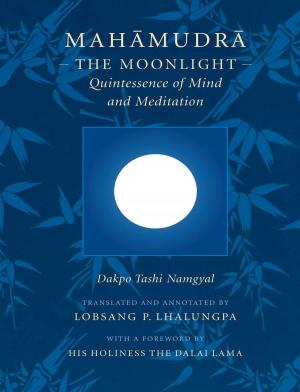 Cover of the book Mahamudra by Larry Yang