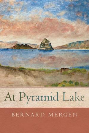 Cover of the book At Pyramid Lake by Joanna Frueh