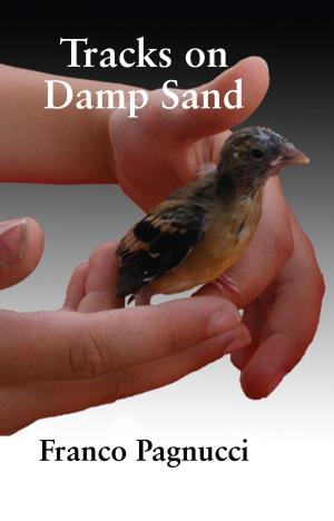 Book cover of Tracks on Damp Sand