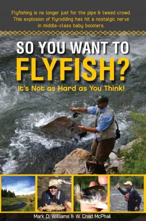 Cover of the book So You Want To Flyfish? by Chesley V. Young