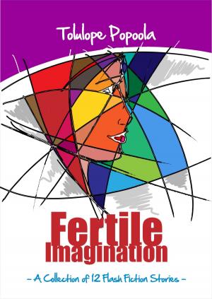 Book cover of Fertile Imagination and Other Stories