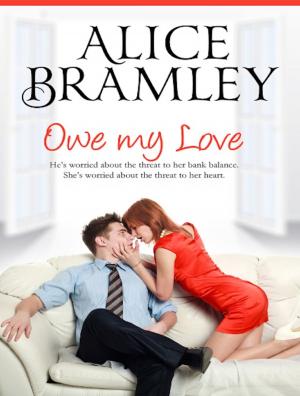 Cover of the book OWE MY LOVE by Jude E. McNamara