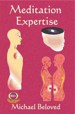 Book cover of Meditation Expertise