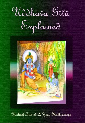 Book cover of Uddhava Gita Explained