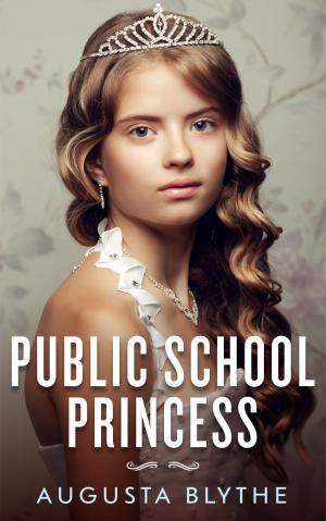 Book cover of Public School Princess