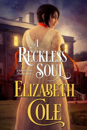 Cover of the book A Reckless Soul by David Wood