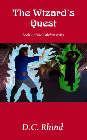 Book cover of The Wizard's Quest